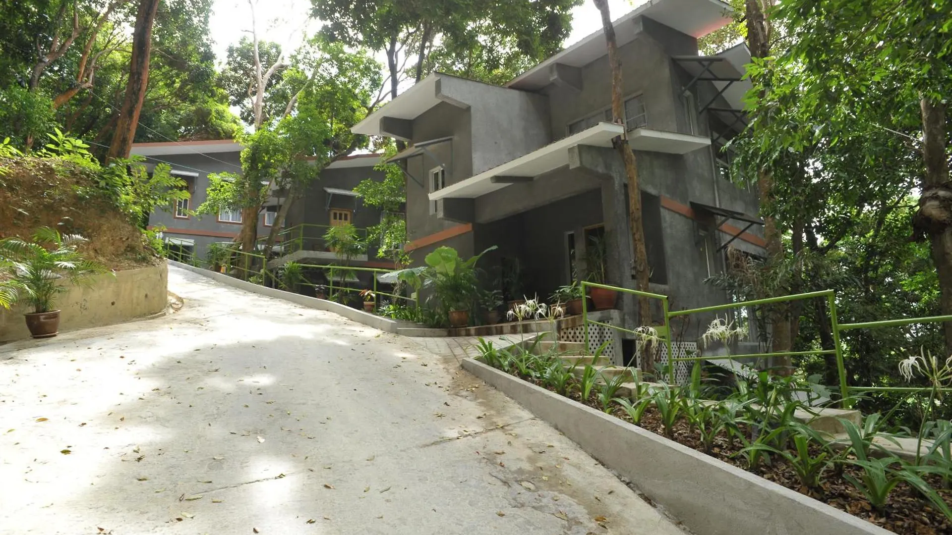 Ambong Rainforest Retreat Pantai Cenang  Malaysia