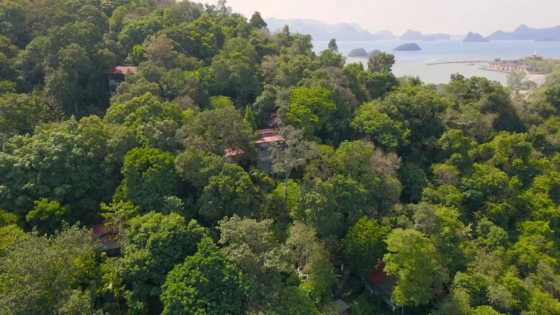 Ambong Rainforest Retreat Pantai Cenang  0*, Pantai Cenang (Langkawi) Malaysia