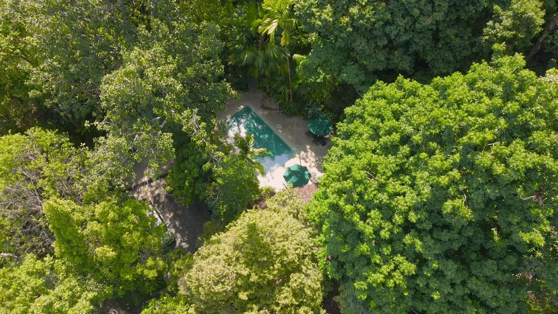 Ambong Rainforest Retreat Pantai Cenang  Lodge Pantai Cenang (Langkawi)