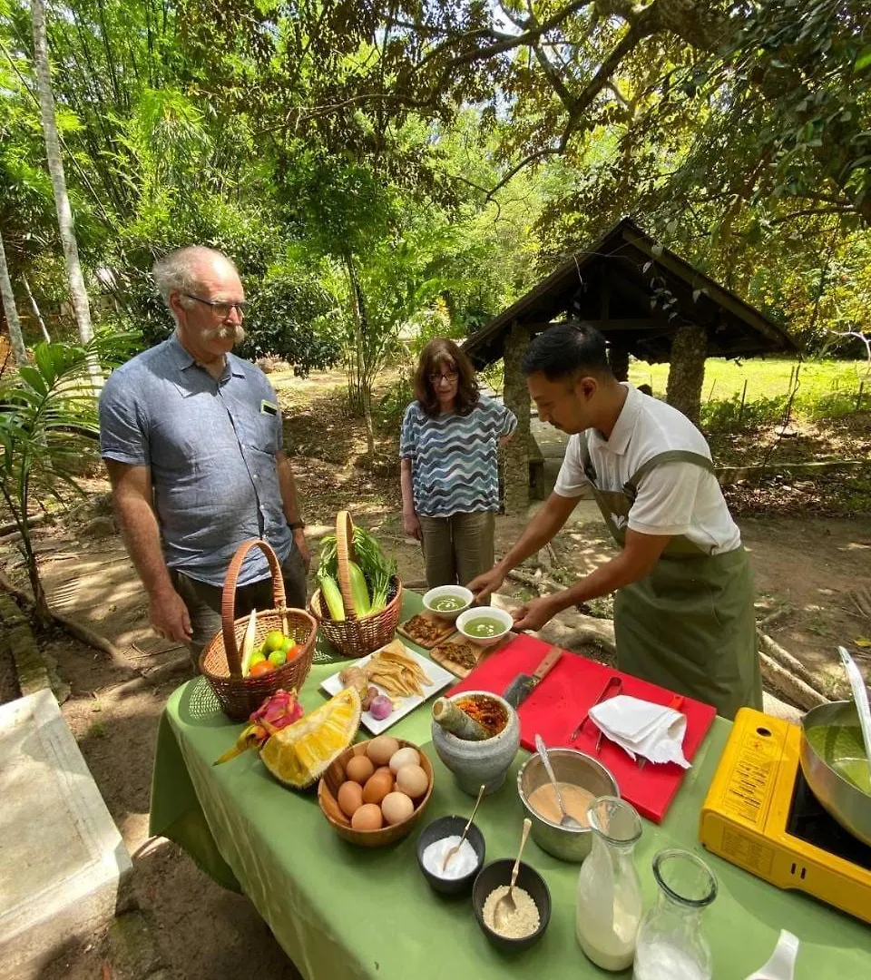Lodge Ambong Rainforest Retreat Pantai Cenang