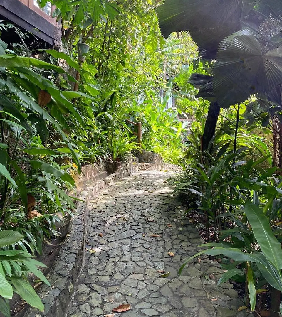 Lodge Ambong Rainforest Retreat Pantai Cenang  Malaysia