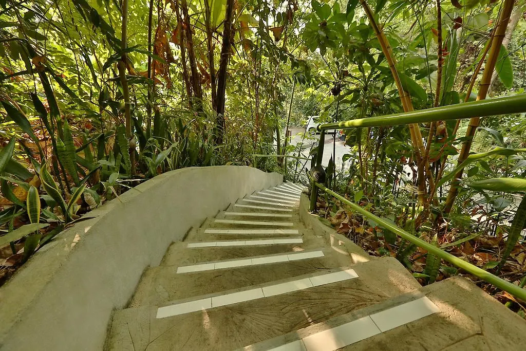 Ambong Rainforest Retreat Pantai Cenang  0*, Pantai Cenang (Langkawi) Malaysia