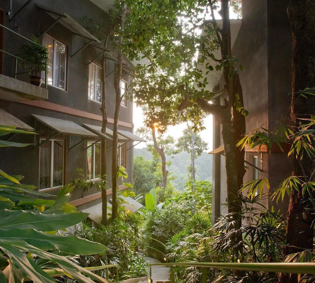 Lodge Ambong Rainforest Retreat Pantai Cenang  Malaysia